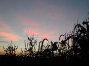 Sunrise in Ilinois